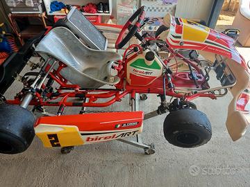 birel s12 