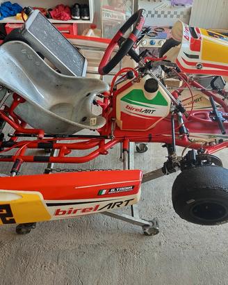 birel s12 