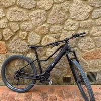 Bicicletta elettrica