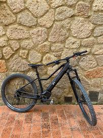 Bicicletta elettrica