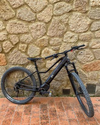 Bicicletta elettrica