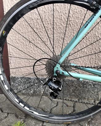 Bianchi celeste (M Alloy Pro Reparto Corse)