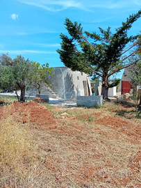 Terreno con rustico