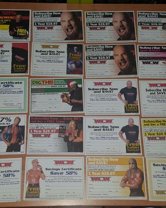 Lotto 20 cartoline WCW Magazine Bret Hart Goldberg