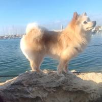 Fidanzatino per la mia piccola Maia