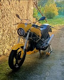 cupolino Monster 600