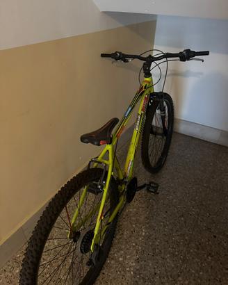 Bici Lombardo