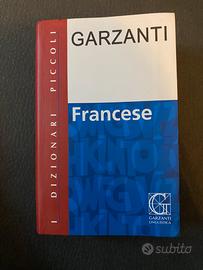 Dizionario