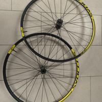 Cerchi da 29 Mtb