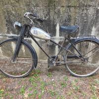 Velocipede Mosquito Bianchi