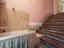 Immagine 9