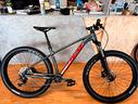 trek-roscoe