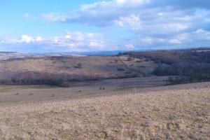 Joent venture terreno agricolo