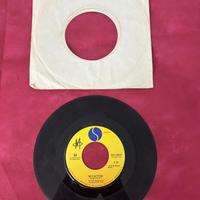 45 giri vintage vinile Robin Scott
