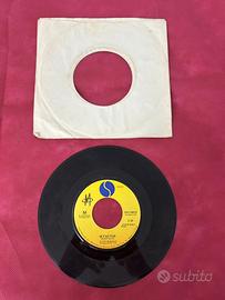 45 giri vintage vinile Robin Scott