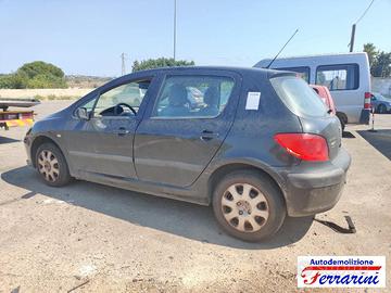 PEUGEOT 307 3A/C 1.6 HDI 90CV 05-09 -ricambi