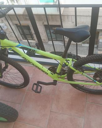 biciclette usate