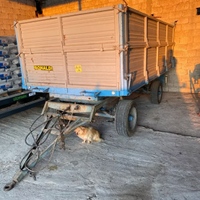 Rimorchio gervasio  2 assi con ralla