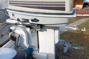 JOHNSON 25CV 2T GAMBO LUNGO 