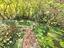 Immagine 26