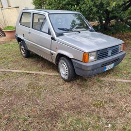 fiat panda young 