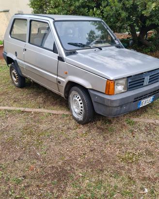 fiat panda young 