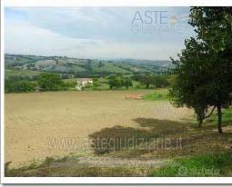 Terreno Agricolo Filottrano [A4343229]