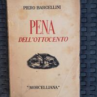 libro vintage, Pena Dell'ottocento di Piero Bargel