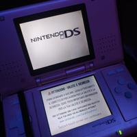 Nintendo Ds fat 