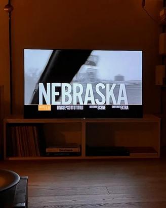 TV SONY BRAVIA A1