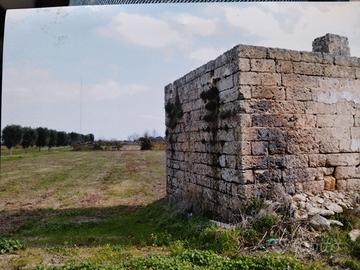 Terreno sito in località Specchia (le)