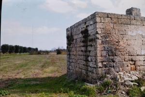 Terreno sito in località Specchia (le)