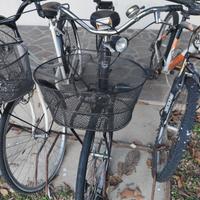 Bici da passeggio Zanella