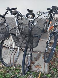 Bici da passeggio Zanella