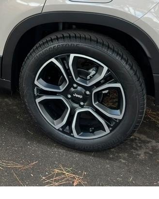 gomme invernali cerchio 18 pollici