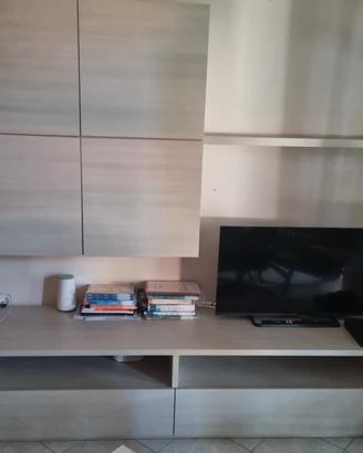 mobile TV 