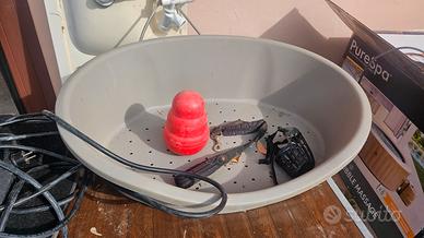 gioco Kong guinzaglio 