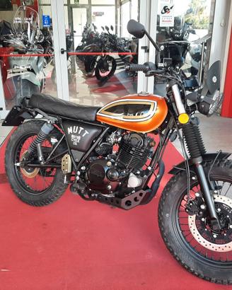Mutt Fat Sabbath 250 - 2022