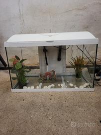 acquario