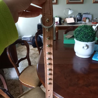 collare per cani con borchie in pelle