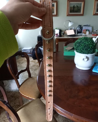 collare per cani con borchie in pelle