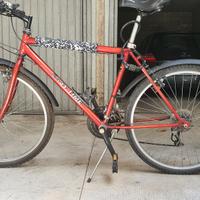 Mountain bike 26" 