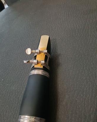 Clarinetto professionale