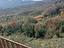 Immagine 9
