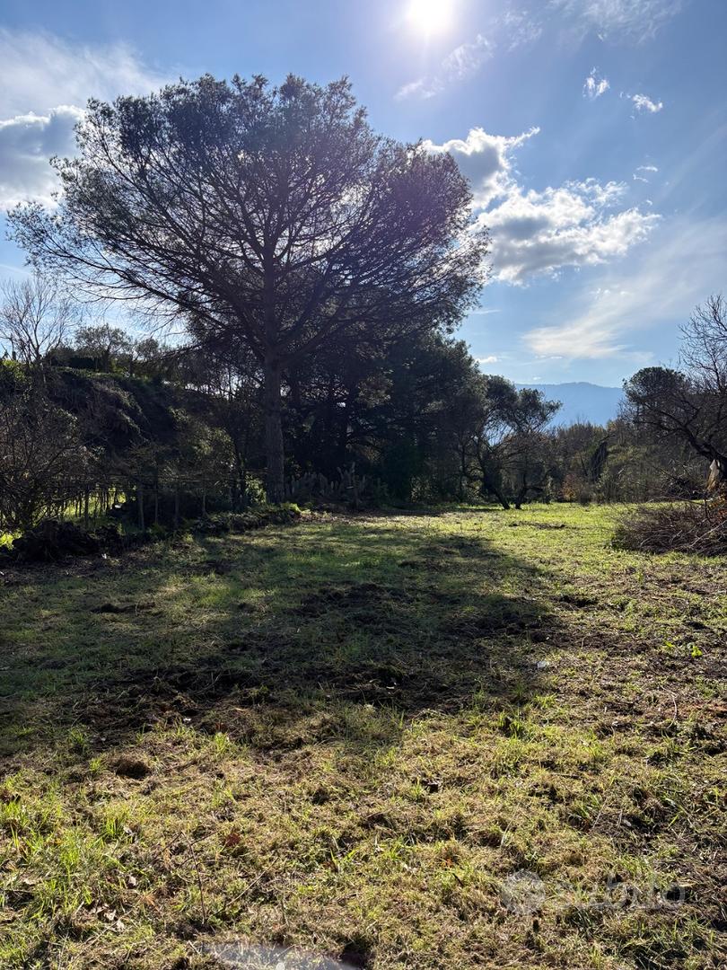 Terreno agricolo - Vista 5