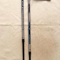 bastoncini  Nordic Walking