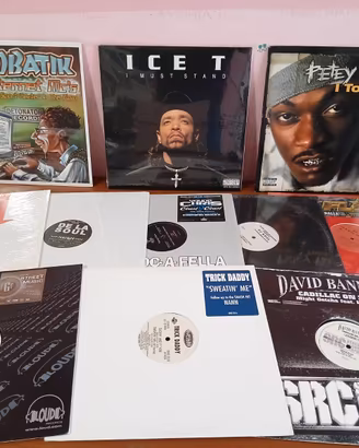 Lotto 20 Vinili Hip Hop U.S.A. 1996-2007