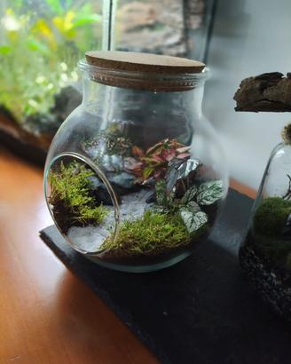 terrario