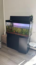 Acquario Juwel 350 litri