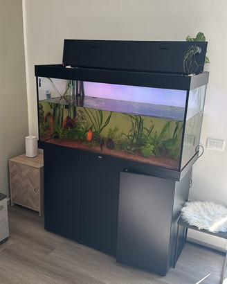 Acquario Juwel 350 litri